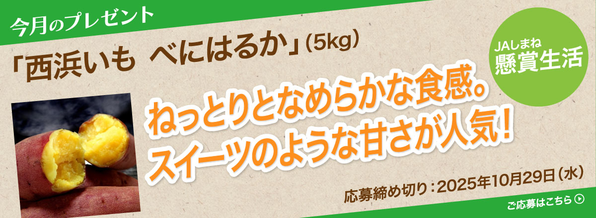 【懸賞生活】今月のプレゼント