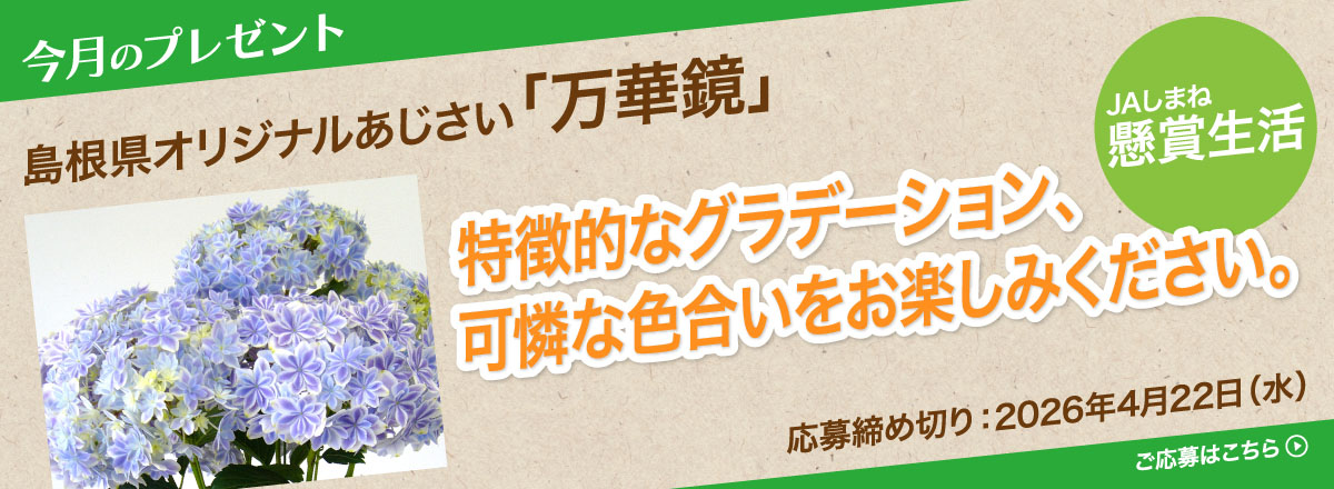 【懸賞生活】今月のプレゼント