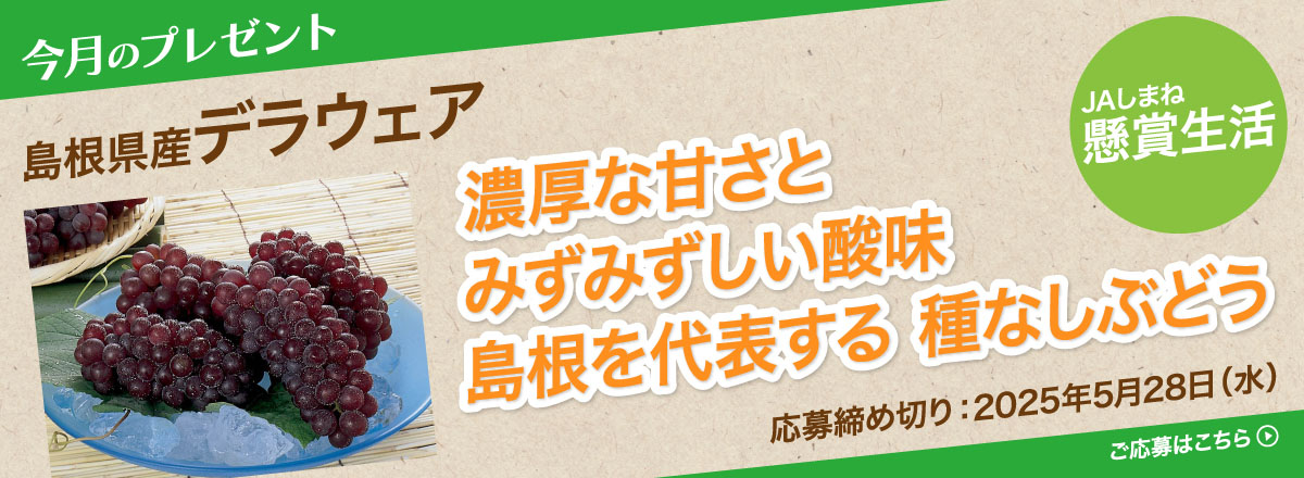 【懸賞生活】今月のプレゼント