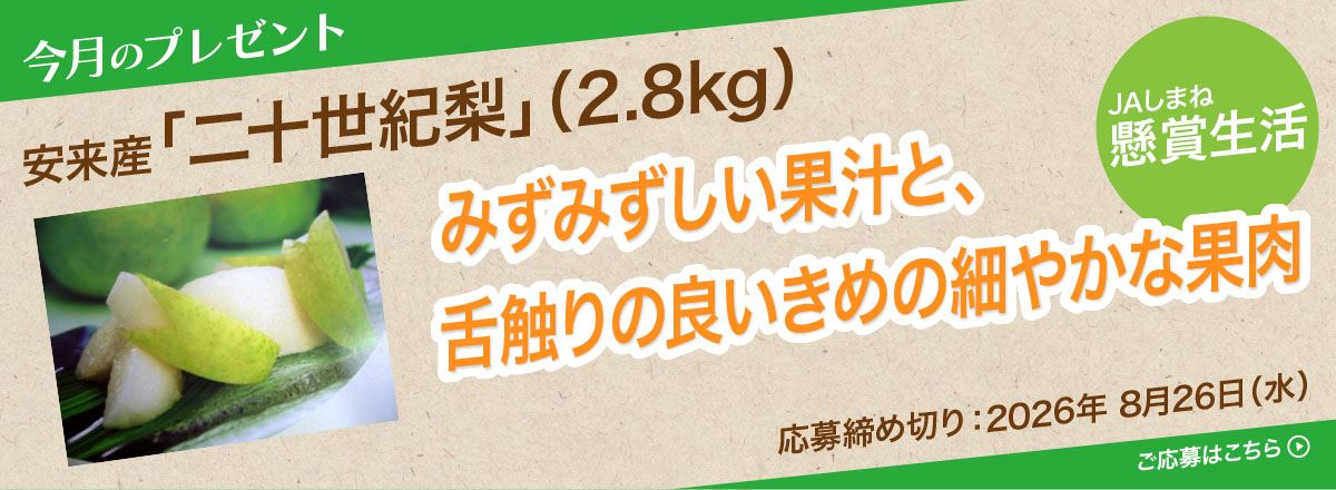 【懸賞生活】今月のプレゼント