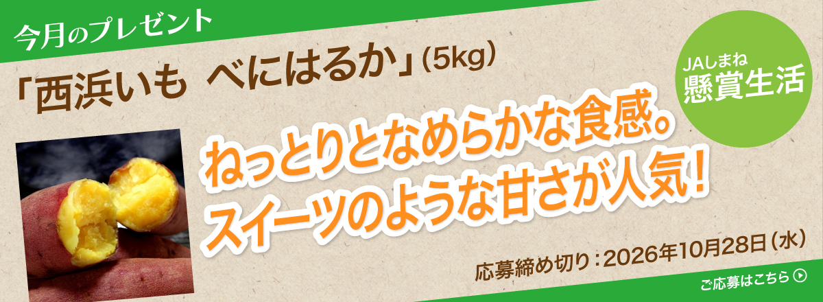 【懸賞生活】今月のプレゼント